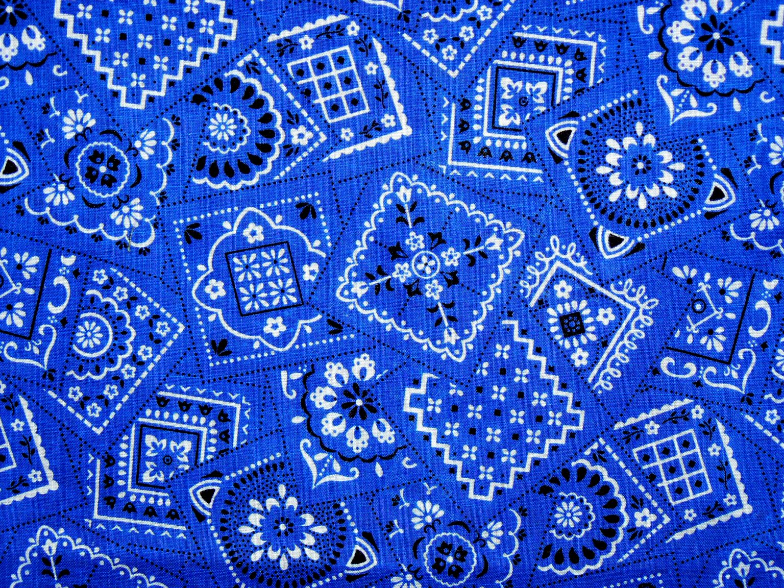 Bandana Royal Blue - Wayside Kennel Gear Wholesale